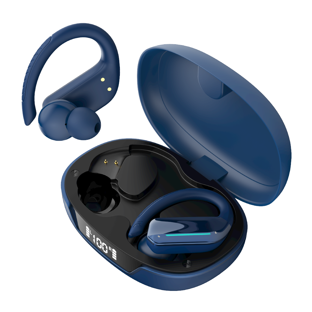 TS21 Earbuds
